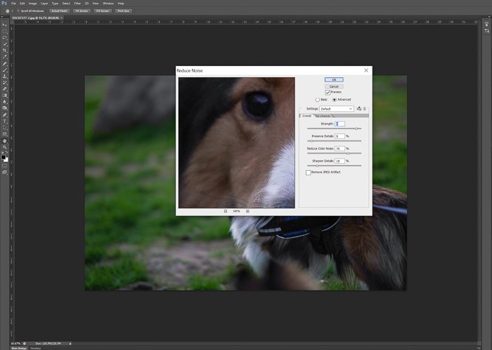 Editing a pet portrait of a brown dog in adobe Photoshop - night photography tips