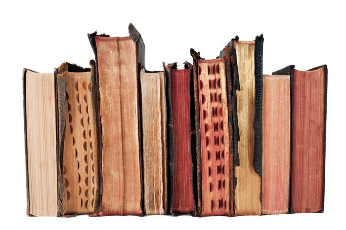A line of old books shot with the best Nikon prime lens for still life