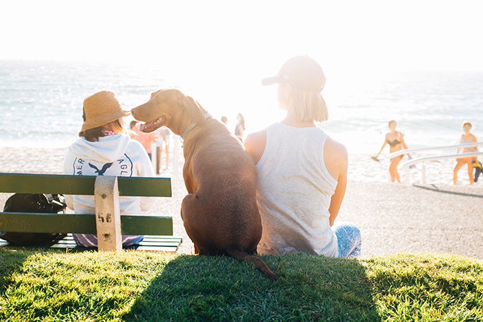 A candid portrait of people sitting by the beach