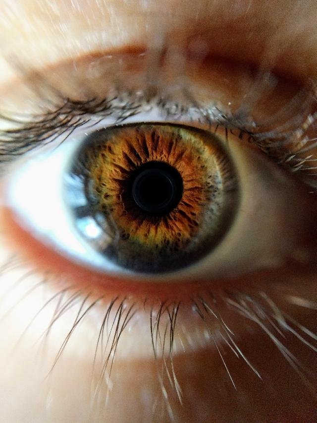 Close-up of dominant eye