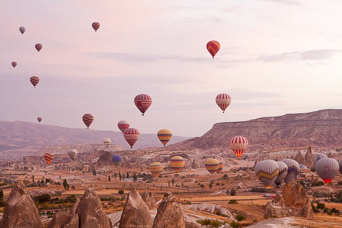 A landscape filled with hot air balloons