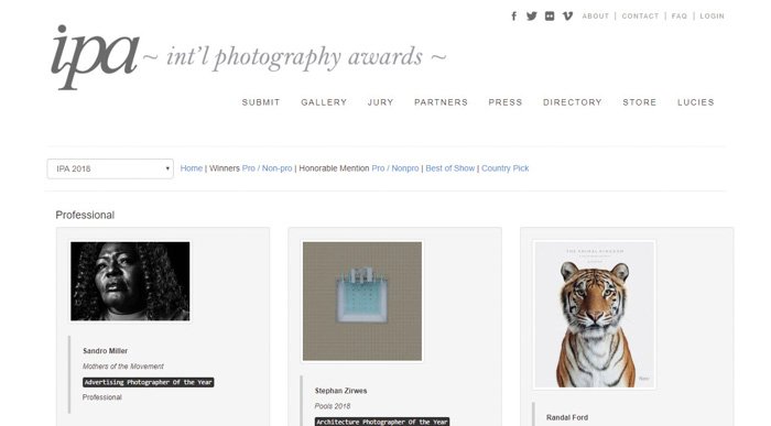 A screenshot from the International Photography Awards photography contest website 