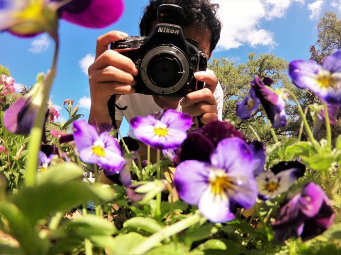 A photographer using reversing rin gs for macro photography of flowers