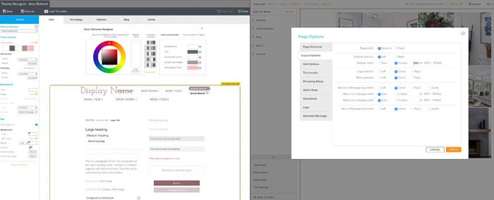 Screenshot of Zenfolio customization panels