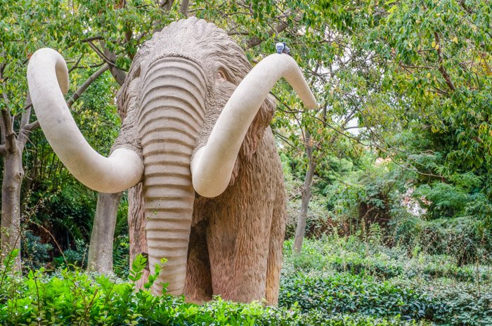 A sculpture of a wooly mammoth at the Ciutadella Park in the Born Quarter - Barcelona photo locations