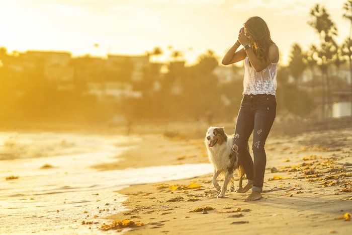 Evening portrait of a woman and dog walking on a beach - photography and law