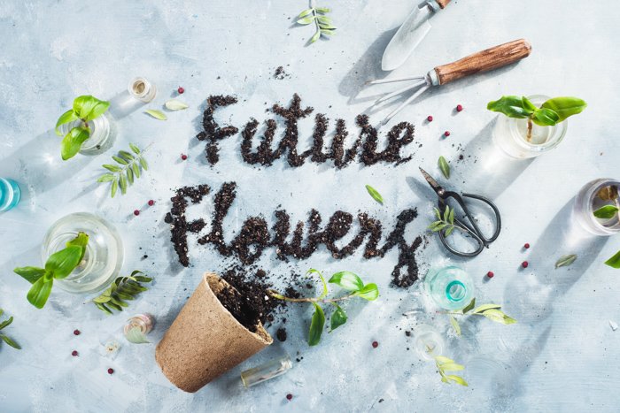 A creative still life shot with a flower theme - examples of typography