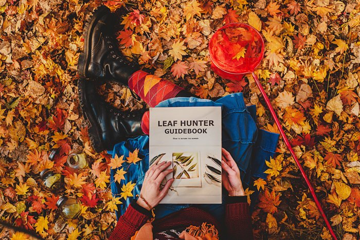 An overhead close up of a person sitting on a carpet of autumn leaves, reading a book called 'Leaf hunter guidebook' - examples of using text in photography