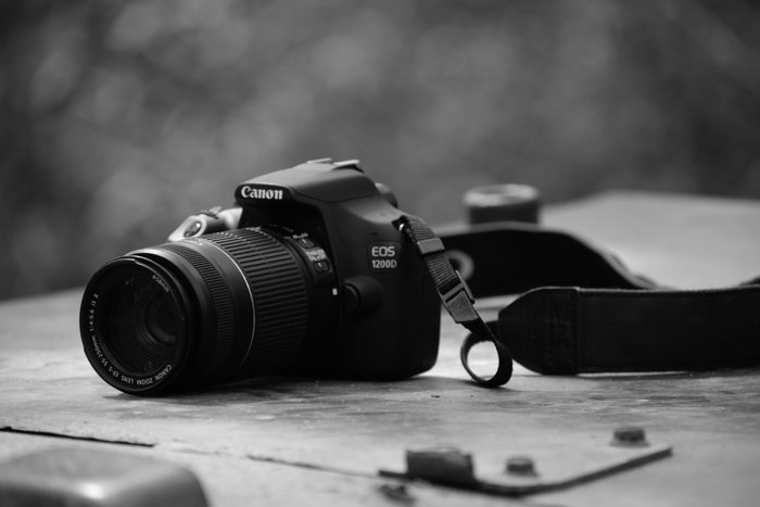 14 Best Canon Camera 2023 (Updated