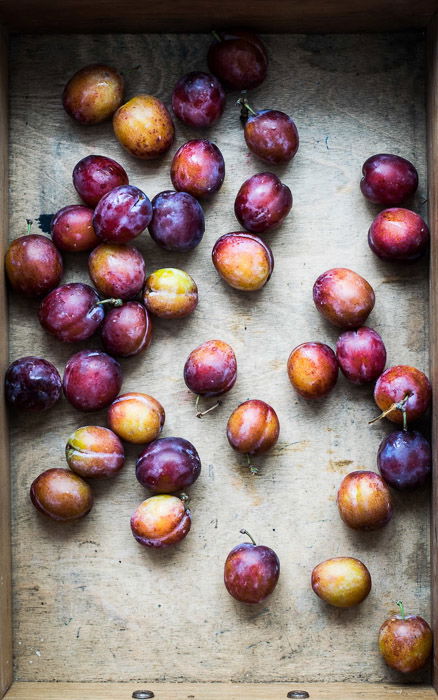 An overhead shot of plums showing use of pattern in food photography