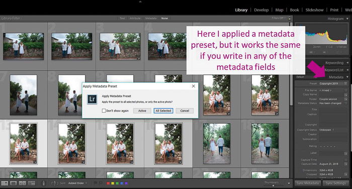 A screenshot showing how to apply metadata in lightroom