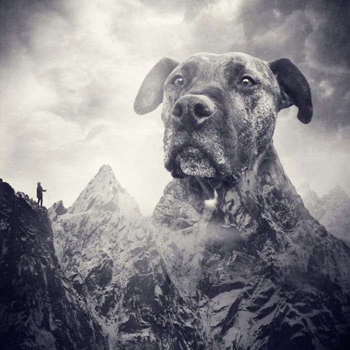 Surreal photo manipulation of a dogs head as a large mountain by Sarolta Ban 