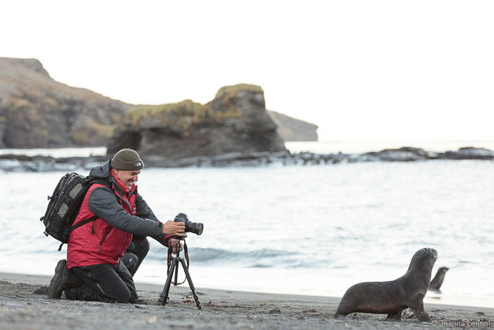 A wildlife photographer shooting a portrait of a seal on a beach