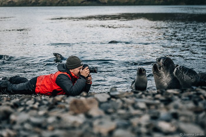 A wildlife photographer shooting a portrait of a seal on a beach 