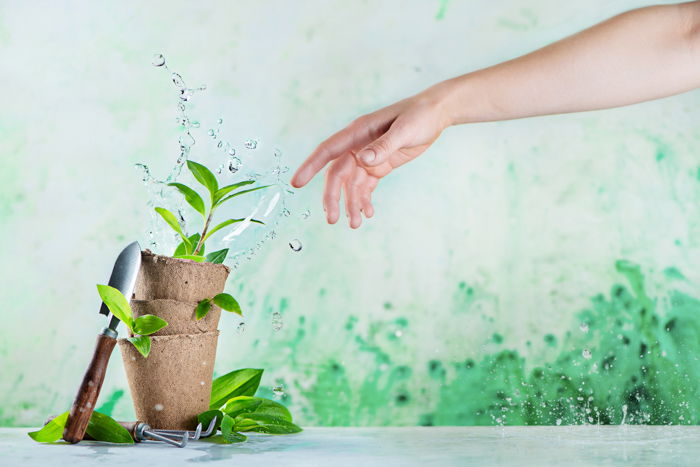 A garden themed still life against hand painted background