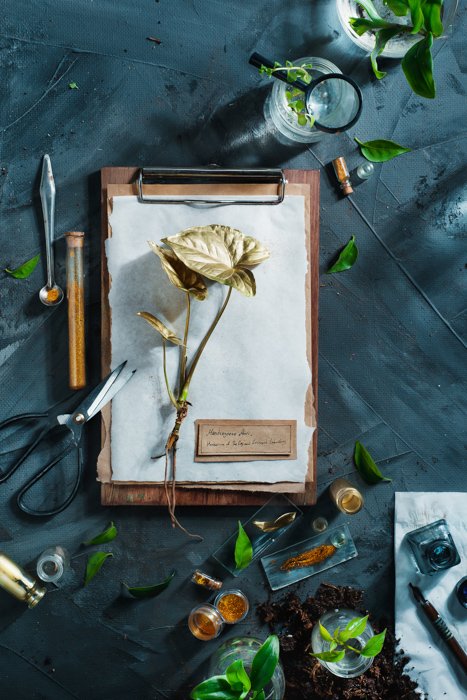 A creative still life photography flat lay on a hand painted background 