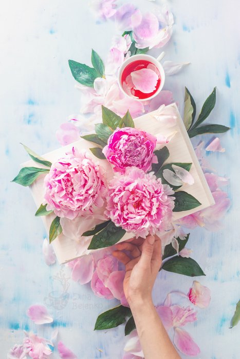 A creative flat lay of flower petals against hand painted background