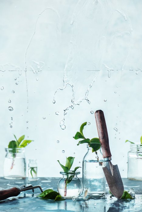 A gardening themed still life against a DIY water splash photography background
