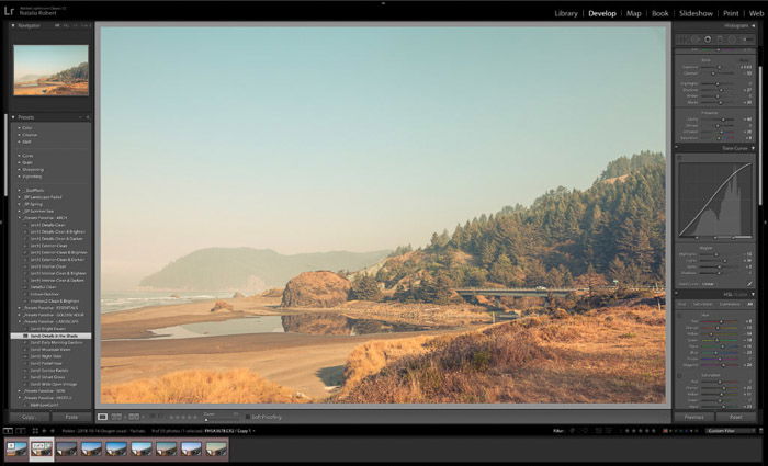 Lightroom Classic workspace with presets in left column and setting adjustments in right column.