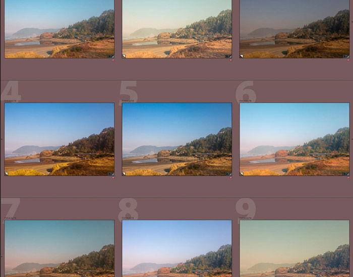 A screenshot of editing an instagram photo on Lightroom - the same photo with 9 different presets applied.