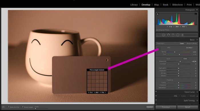 A screenshot showing how to use a grey card for color correction in Lightroom