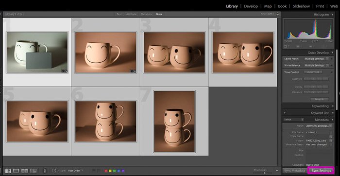 A screenshot showing how to use a grey card for color correction in Lightroom - sync settings