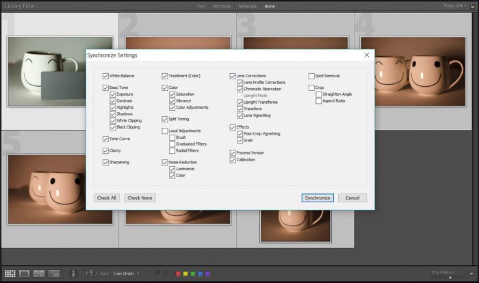 A screenshot showing how to use a grey card for color correction in Lightroom - synchronize settings