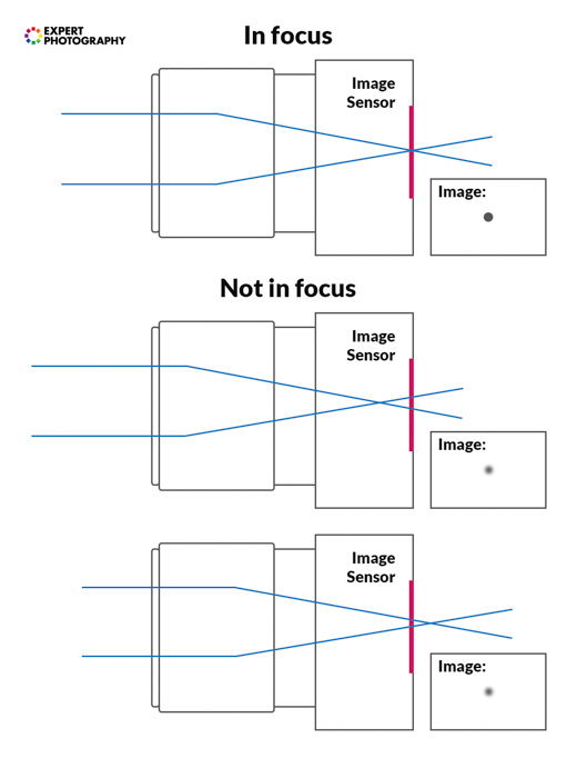 Camera Lens Guide (Parts, Functions and Types Explained!)