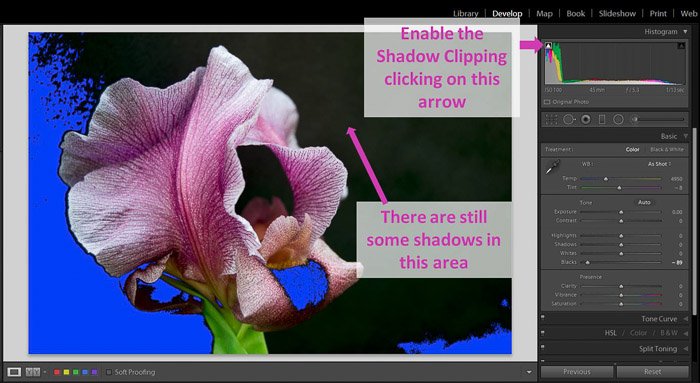 A screenshot showing how to use Lightroom's Shadows and Black Sliders for Better Control