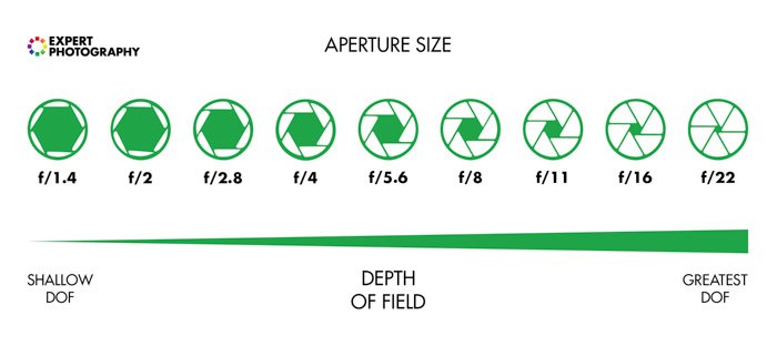 A chart showing how aperture and depth of field correspond