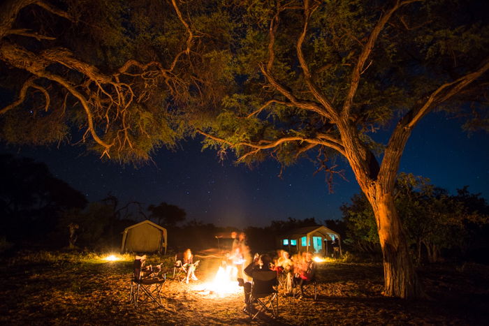 How to Capture Stunning Safari Photography on Your Next Trip - 31