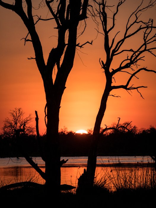 Sunset in the Okavango Delta, Botswana.