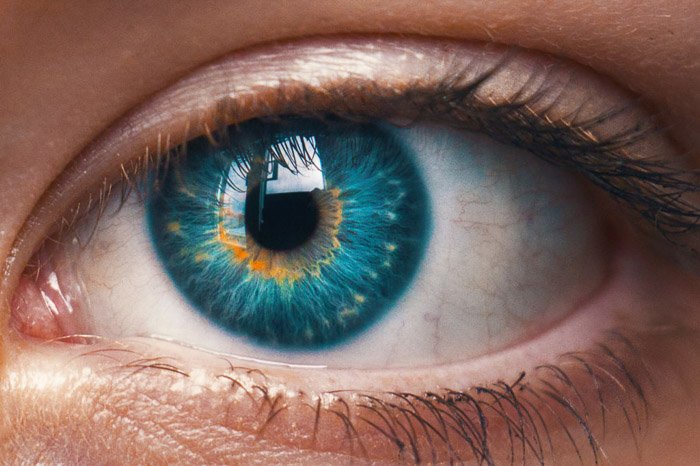 A close up photo of a blue eye 