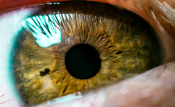 A macro photo of a brown eye