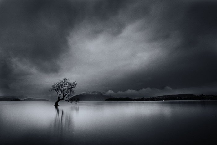 A black and white minimalist landscape photography sot featuring a lone tree in water under a dramatic cloudy sky