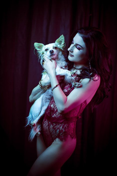 A portrait of a glamourous female model posing against a dark background with a small dog - artificial studio lighting types 