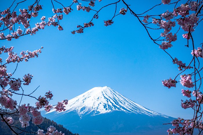 Impressive view of Mount Fuji in Japan framed by cherry blossoms - beautiful pictures of japan