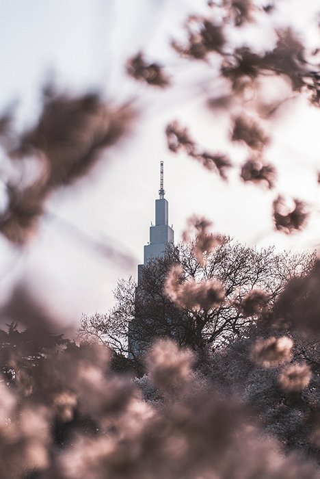 Dreamy shot of a tower through flowers in Shinjuku Gyoen Garden