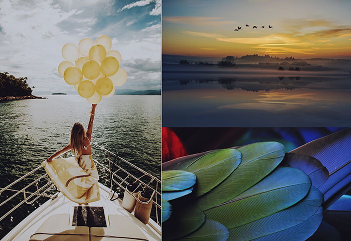 A triptych photography example featuring a portrait, landscape and bird feathers to emphasise the similarities or differences between three things