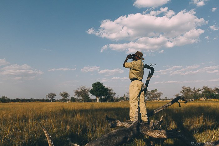 A photographer shooting in a grassy landscape - how to dress for wildlife photography