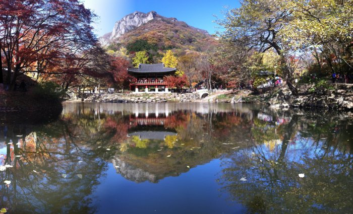 一个池塘的惊人照片，背景是一座寺庙和一座山