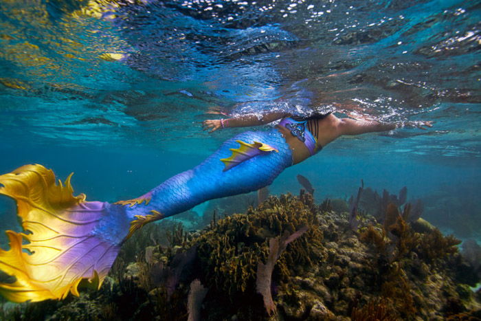 Dreamy underwater portrait of a female model with brightly colored mermaid tail 