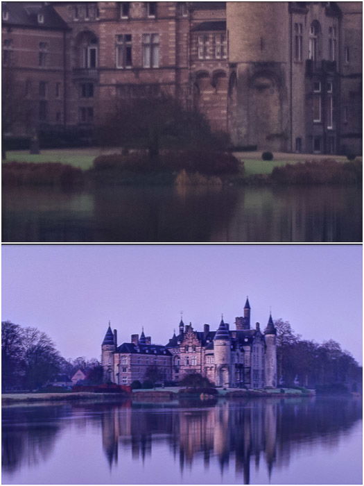 Diptych photo showing details of a landscape panorama