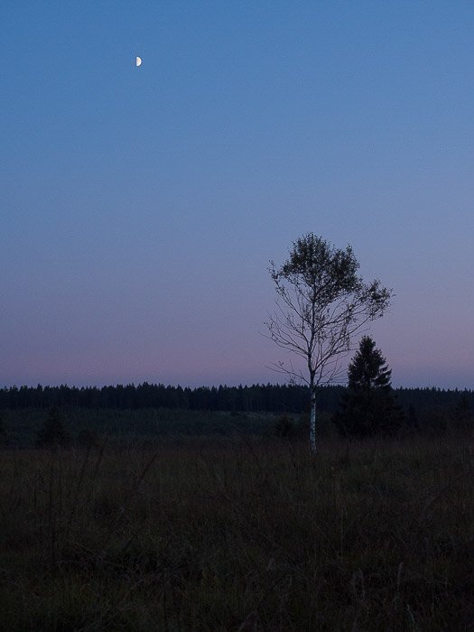 The Moon under a calm landscape shot at 24mm EFL.