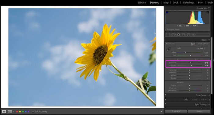 A screenshot of how to edit garden photography in Lightroom