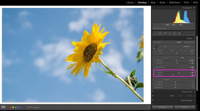 A screenshot of how to edit garden photography in Lightroom