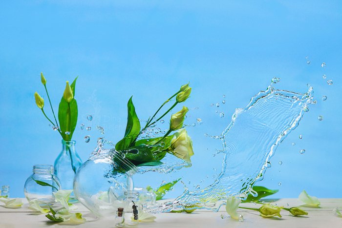 A creative still life of flowers in glass jars falling with a creative water splash - spring photos ideas
