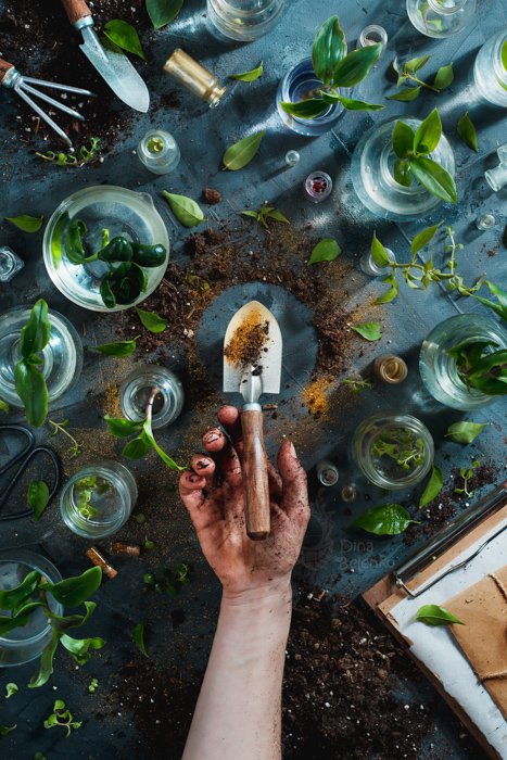 An overhead shot of a garden shovel suspended over a person's hand surrounded by green leaves in glass jars and other tools as an example for spring photography ideas