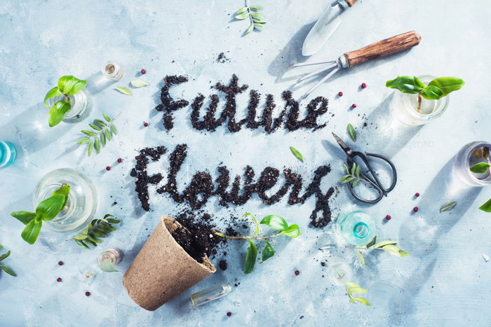 Cool garden themed still life featuring flowers, flower pots and typography as an example for spring photography ideas