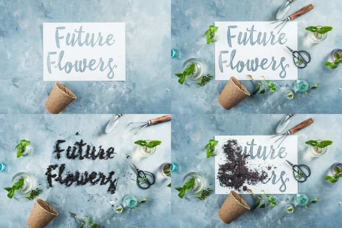 Cool still life photo grid featuring flowers, flower pots and typography as an example for spring photography ideas